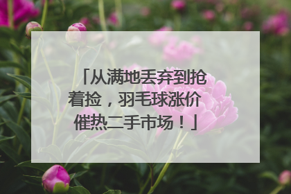 从满地丢弃到抢着捡，羽毛球涨价催热二手市场！