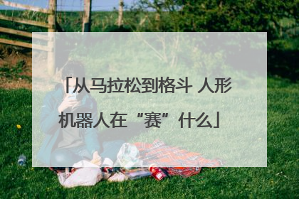 从马拉松到格斗 人形机器人在“赛”什么