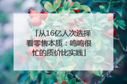 从16亿人次选择看零售本质：鸣鸣很忙的质价比实践