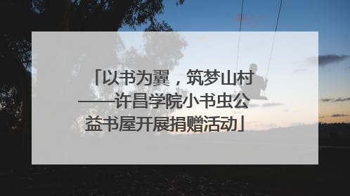 以书为翼，筑梦山村——许昌学院小书虫公益书屋开展捐赠活动