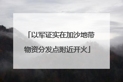 以军证实在加沙地带物资分发点附近开火