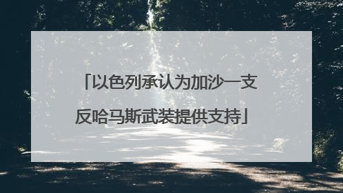 以色列承认为加沙一支反哈马斯武装提供支持