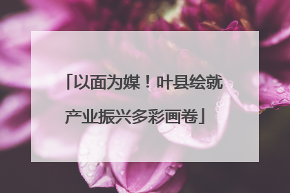 以面为媒！叶县绘就产业振兴多彩画卷