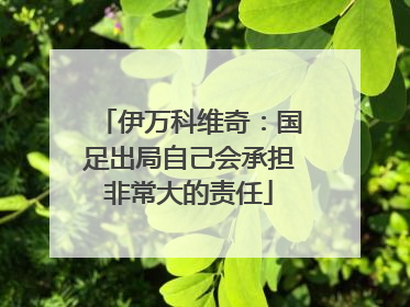 伊万科维奇：国足出局自己会承担非常大的责任