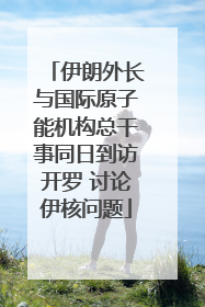 伊朗外长与国际原子能机构总干事同日到访开罗 讨论伊核问题