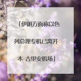 伊朗方面称以色列总理专机已离开本-古里安机场