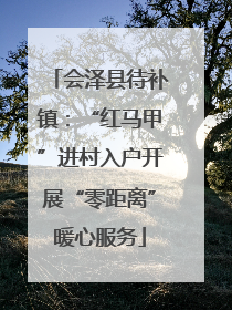 会泽县待补镇：“红马甲”进村入户开展“零距离”暖心服务