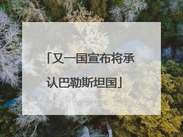 又一国宣布将承认巴勒斯坦国