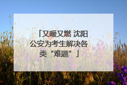 又暖又燃 沈阳公安为考生解决各类“难题”