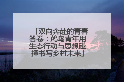 双向奔赴的青春答卷：鸬鸟青年用生态行动与思想碰撞书写乡村未来