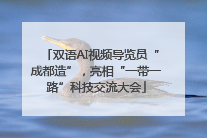 双语AI视频导览员“成都造”，亮相“一带一路”科技交流大会