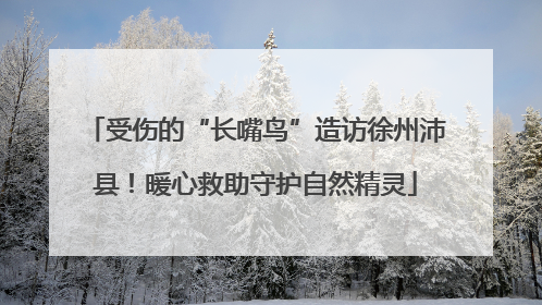 受伤的“长嘴鸟”造访徐州沛县！暖心救助守护自然精灵