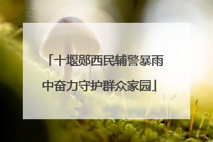十堰郧西民辅警暴雨中奋力守护群众家园