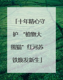 十年精心守护 “植物大熊猫”红河苏铁焕发新生