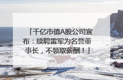 千亿市值A股公司宣布：续聘雷军为名誉董事长，不领取薪酬！