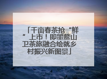 千亩春茶抢“鲜”上市！即墨鳌山卫茶旅融合绘就乡村振兴新图景