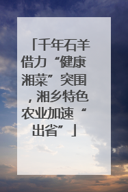 千年石羊借力“健康湘菜”突围，湘乡特色农业加速“出省”