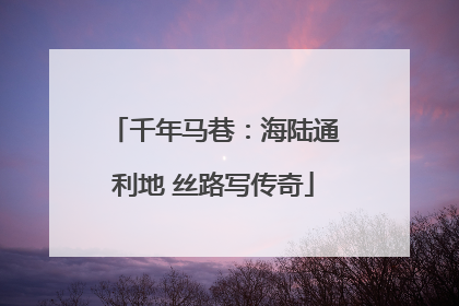 千年马巷：海陆通利地 丝路写传奇