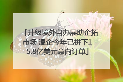 升级境外自办展助企拓市场 温企今年已拼下15.8亿美元意向订单