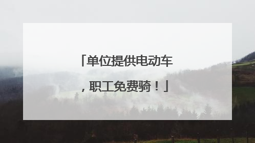 单位提供电动车，职工免费骑！