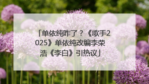 单依纯咋了？《歌手2025》单依纯改编李荣浩《李白》引热议