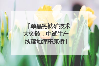 单晶钙钛矿技术大突破，中试生产线落地浦东康桥