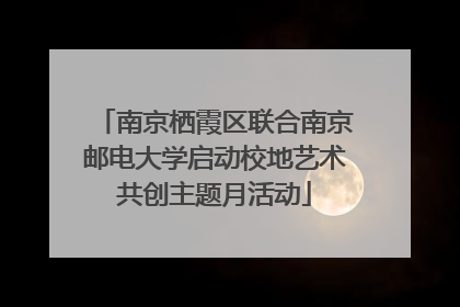 南京栖霞区联合南京邮电大学启动校地艺术共创主题月活动