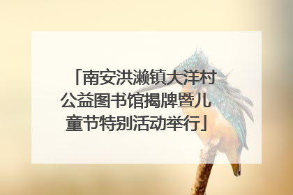 南安洪濑镇大洋村公益图书馆揭牌暨儿童节特别活动举行