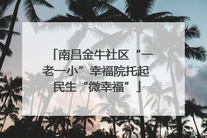 南昌金牛社区“一老一小”幸福院托起民生“微幸福”