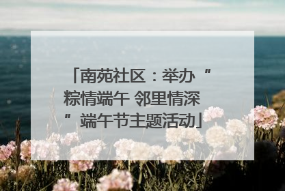 南苑社区：举办“粽情端午 邻里情深”端午节主题活动