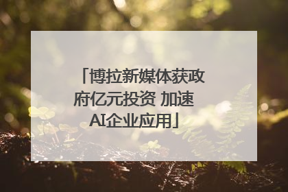 博拉新媒体获政府亿元投资 加速AI企业应用