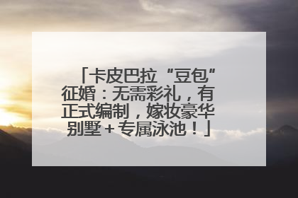 卡皮巴拉“豆包”征婚：无需彩礼，有正式编制，嫁妆豪华别墅＋专属泳池！