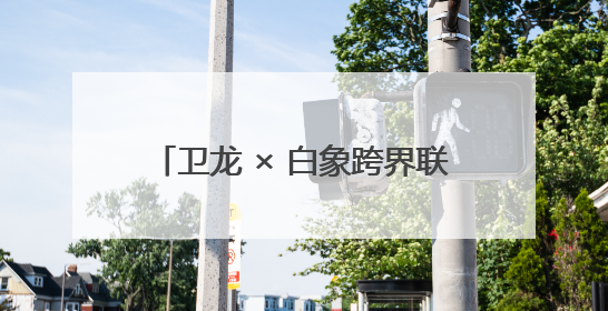 卫龙 × 白象跨界联名：辣味基因的跨维度共振与行业范式重构