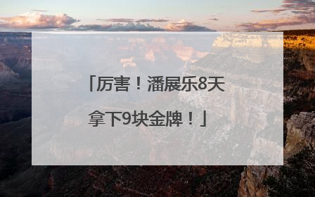 厉害！潘展乐8天拿下9块金牌！