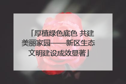 厚植绿色底色 共建美丽家园——新区生态文明建设成效显著
