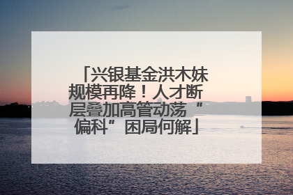 兴银基金洪木妹规模再降！人才断层叠加高管动荡“偏科”困局何解