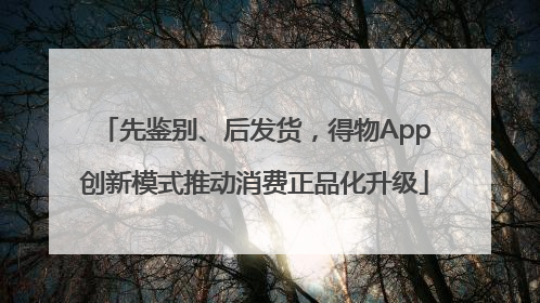 先鉴别、后发货，得物App创新模式推动消费正品化升级