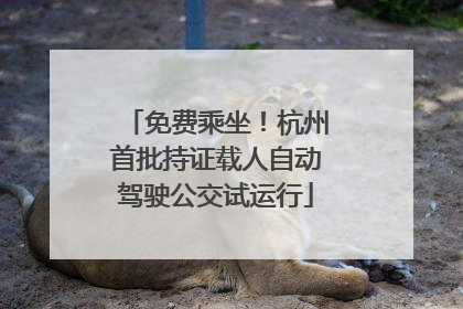 免费乘坐！杭州首批持证载人自动驾驶公交试运行