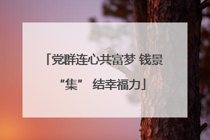 党群连心共富梦 钱景 “集” 结幸福力