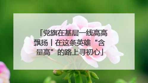 党旗在基层一线高高飘扬丨在这条英雄“含量高”的路上寻初心