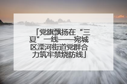 党旗飘扬在“三夏”一线——宛城区溧河街道党群合力筑牢禁烧防线