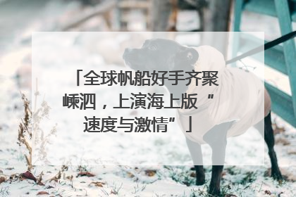 全球帆船好手齐聚嵊泗，上演海上版“速度与激情”