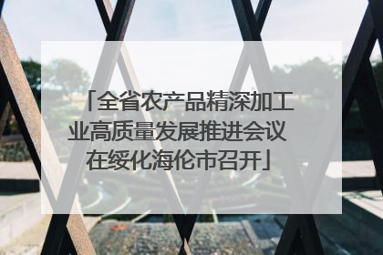 全省农产品精深加工业高质量发展推进会议在绥化海伦市召开