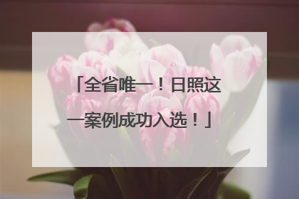 全省唯一！日照这一案例成功入选！