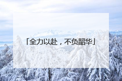 全力以赴，不负韶华