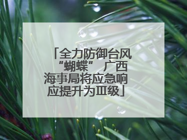 全力防御台风“蝴蝶” 广西海事局将应急响应提升为Ⅲ级