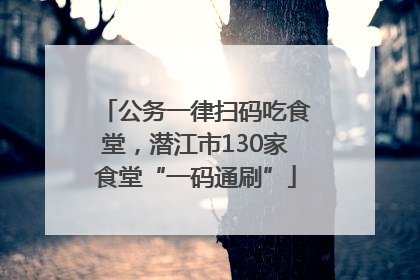 公务一律扫码吃食堂，潜江市130家食堂“一码通刷”