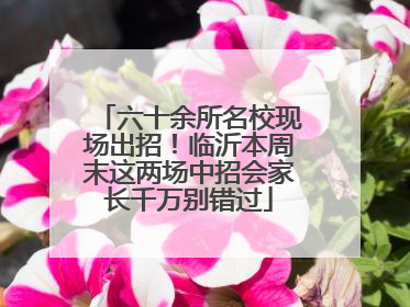 六十余所名校现场出招！临沂本周末这两场中招会家长千万别错过