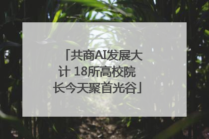 共商AI发展大计 18所高校院长今天聚首光谷