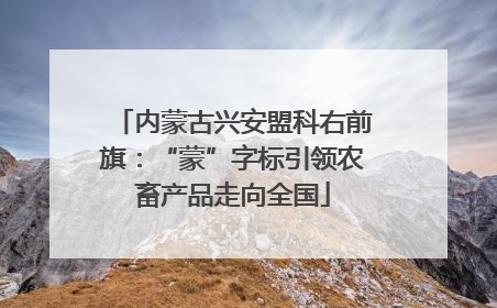 内蒙古兴安盟科右前旗：“蒙”字标引领农畜产品走向全国